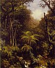 Brazilian Forest by Martin Johnson Heade